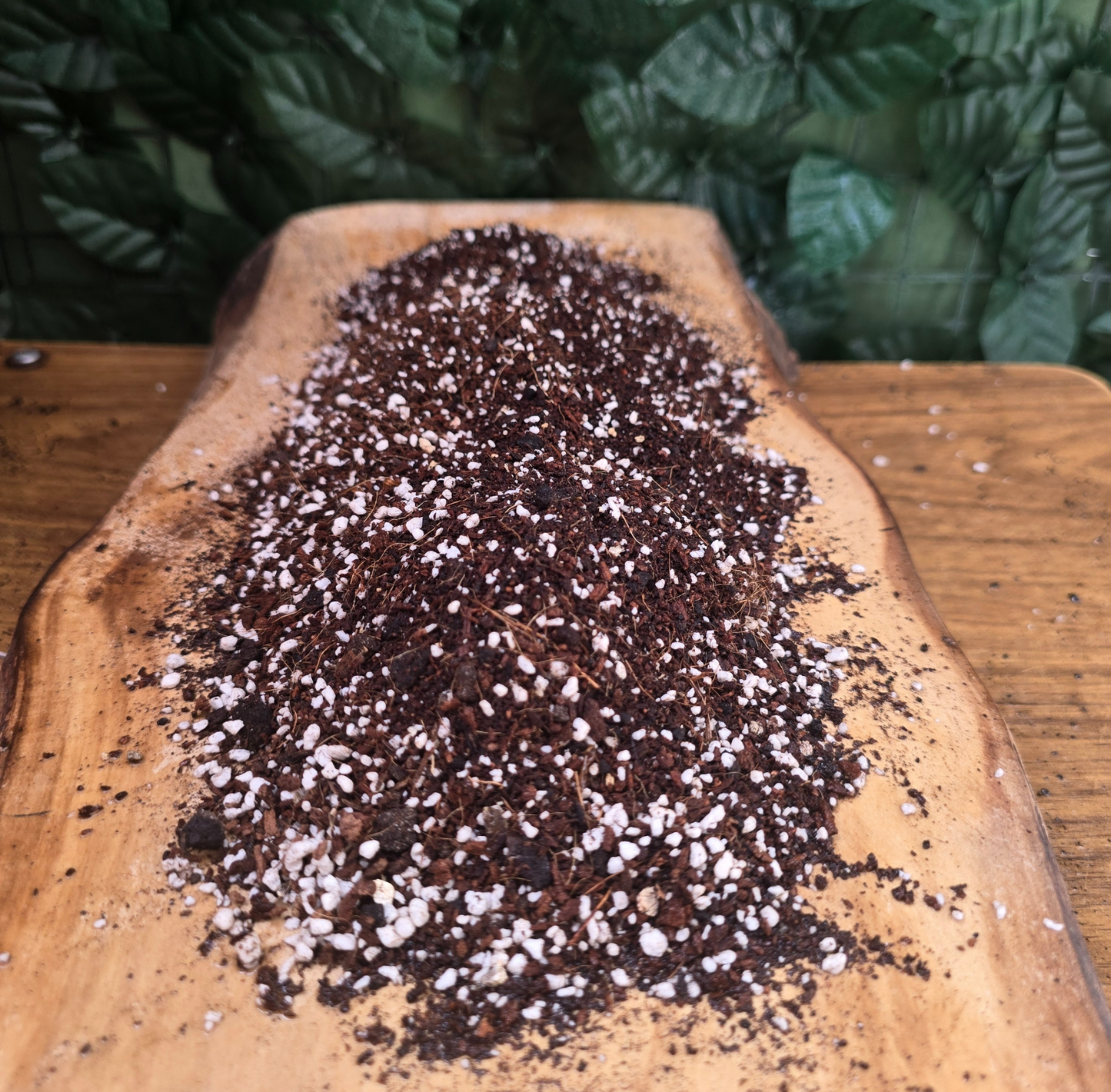 Sustrato Versátil COCOLIFE – Plantas Ornamentales Tropicales