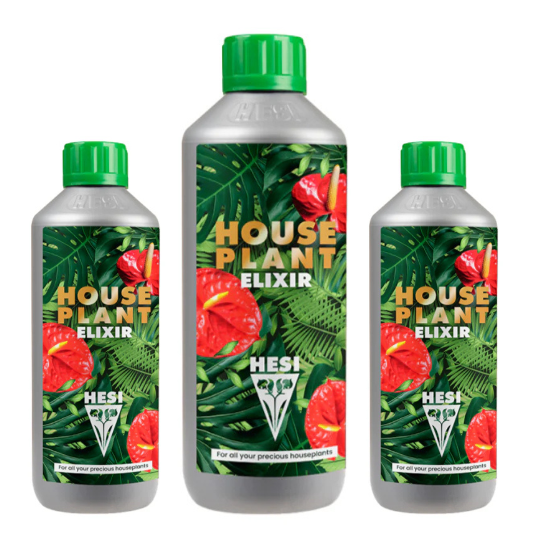 HOUSE PLANT ELEXIR- Los nutrientes que tus plantas necesitan