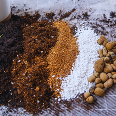 MEJORADORES DE SUSTRATO – Ingredientes de vida para tus plantas | ARAUCATERRA