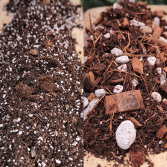 SUSTRATOS ESPECIALIZADOS – Sustratos Premium para cada especie | ARAUCATERRA