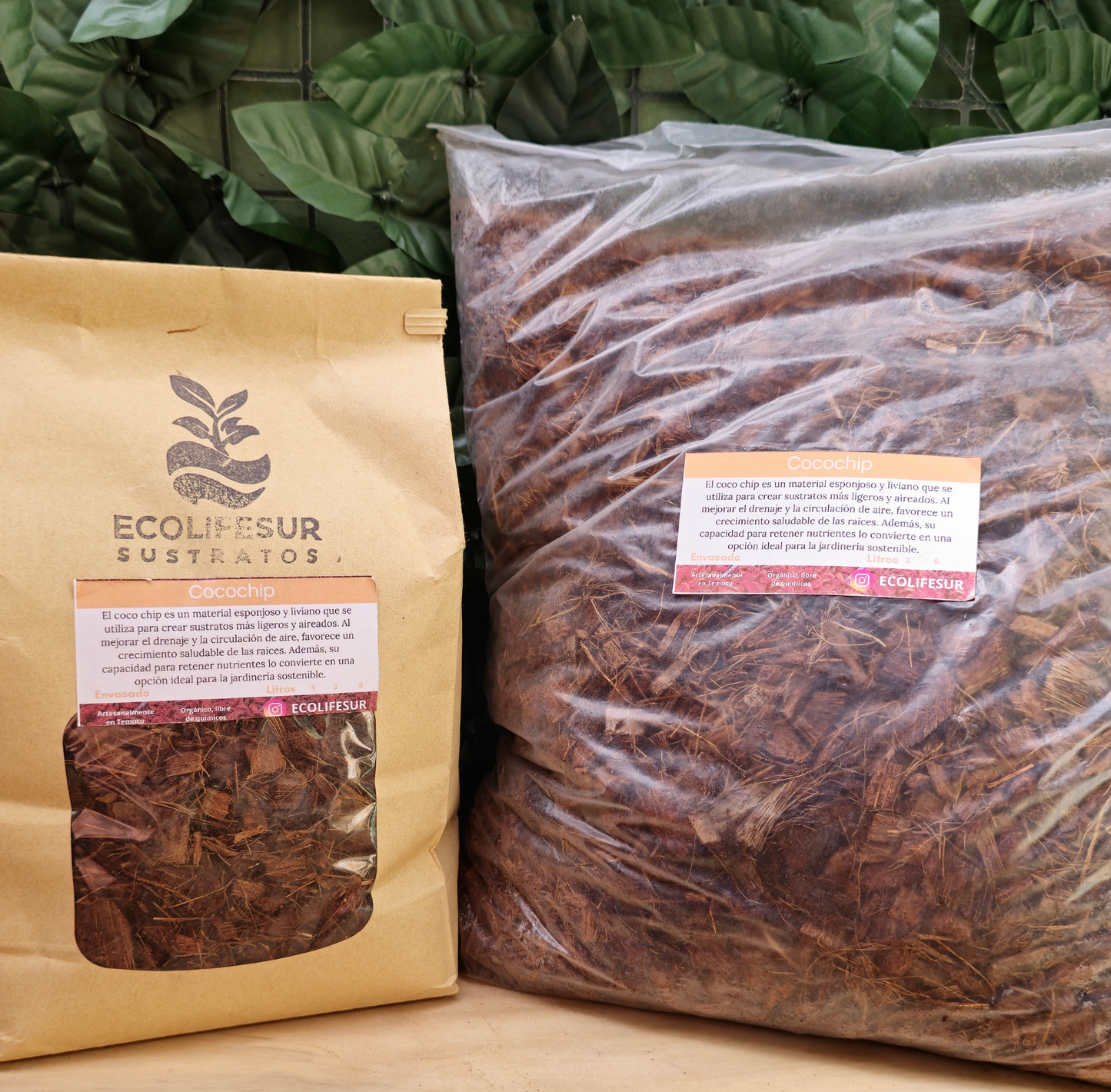 COCOCHIP – La estructura que tus raíces estaban pidiendo 🌱