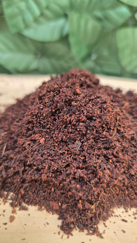 FIBRA DE COCO – Dale un Respiro a tus Raíces🥥