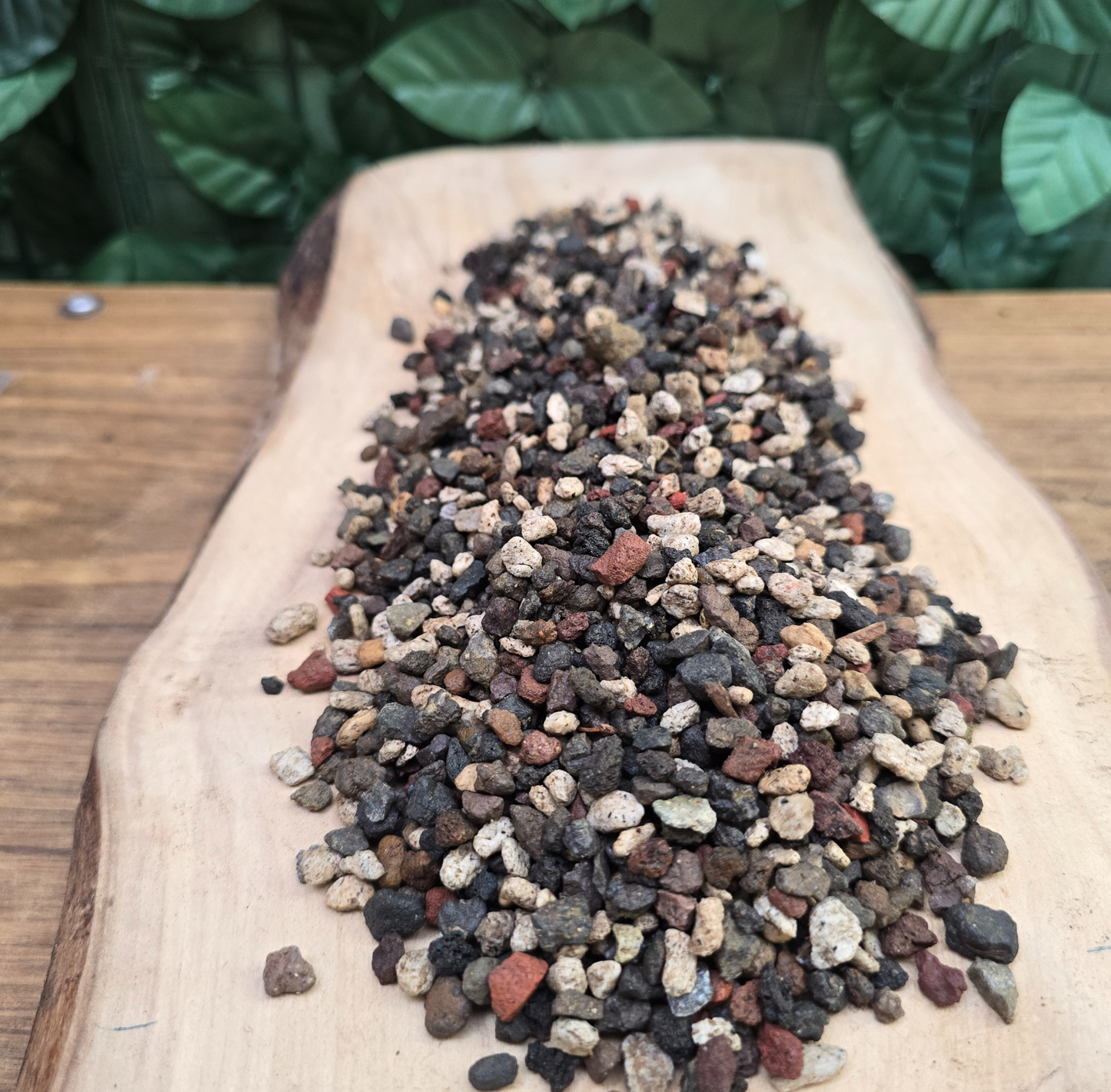 🌋 Sustrato Mineral SILVERPON – Fuerza volcánica para plantas exóticas