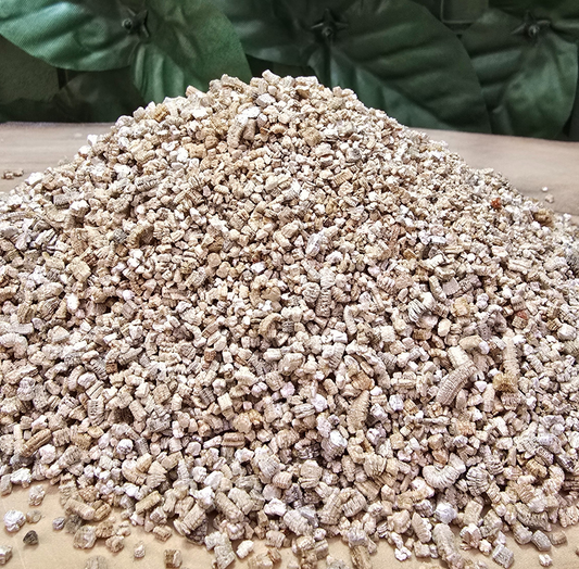 VERMICULITA – Guardiana de humedad y nutrientes 🟡