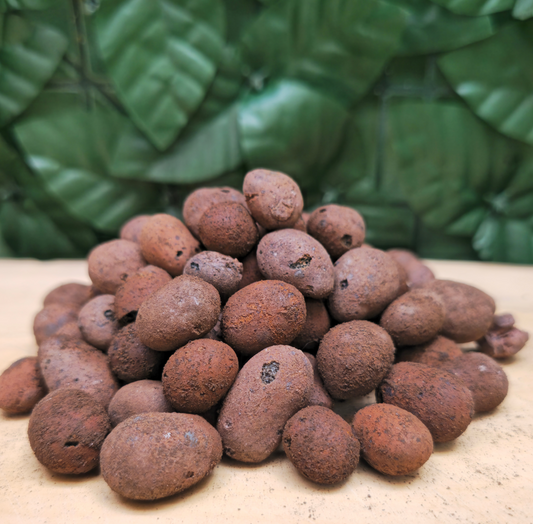 ARLITA (LECA): Guardián invisible del agua 🟤