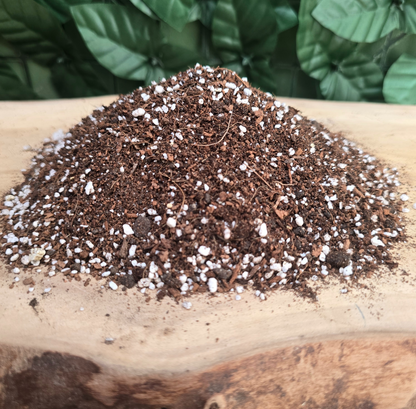 Sustrato Versátil COCOLIFE – Plantas Ornamentales Tropicales