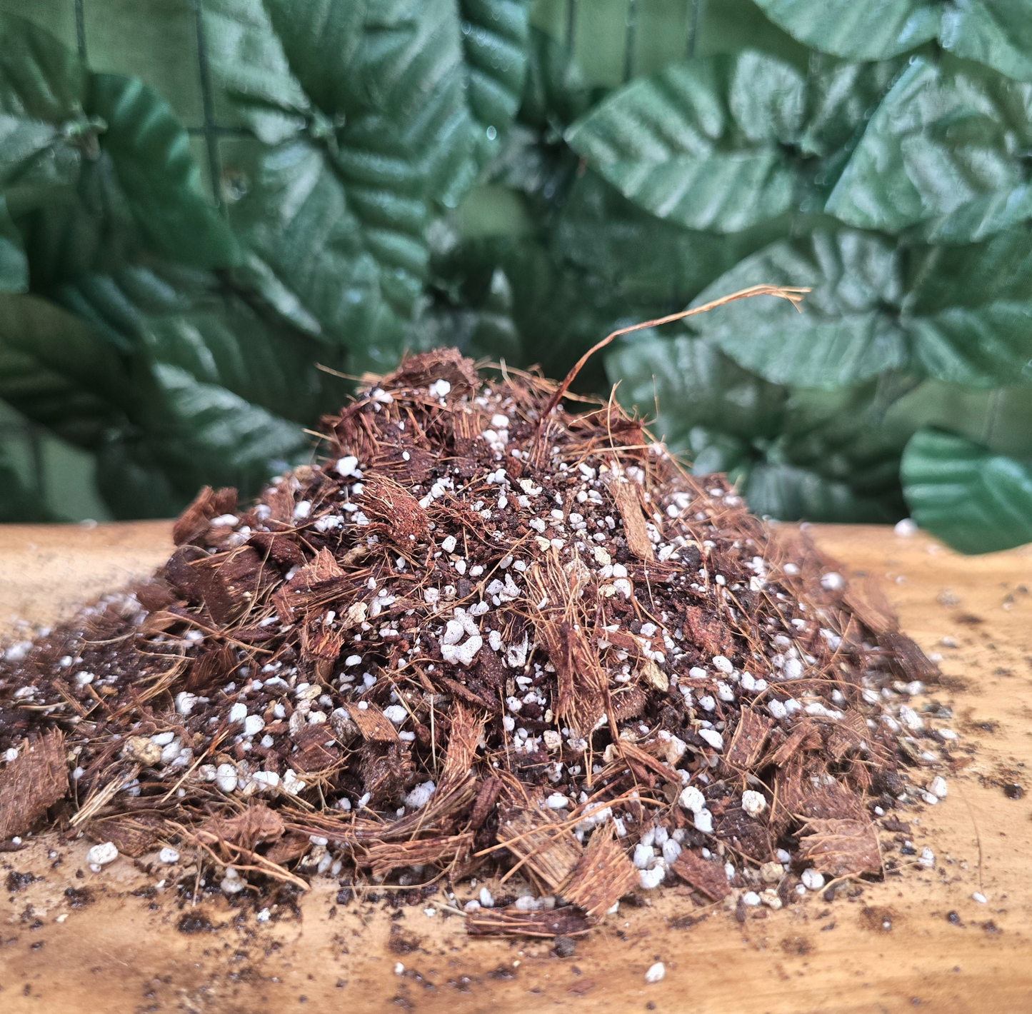 🪴Sustrato COCOCHIPLIFE – Superpremium libre de compost