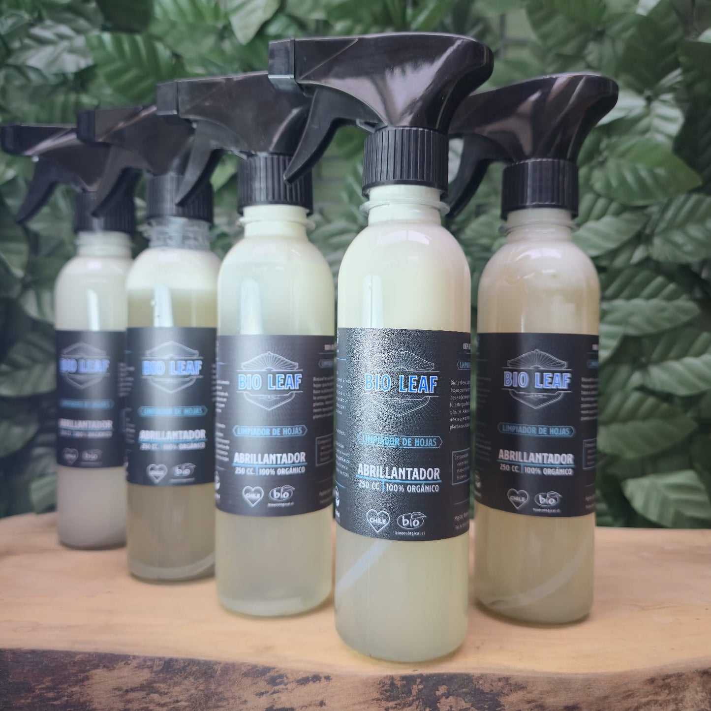 BIOLEAF - Limpiador de Hojas Natural