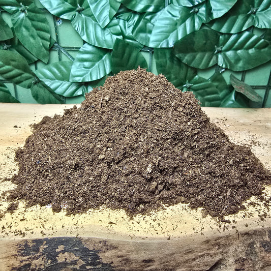 Turba Semillera - el inicio seguro para tus semillas 🌱