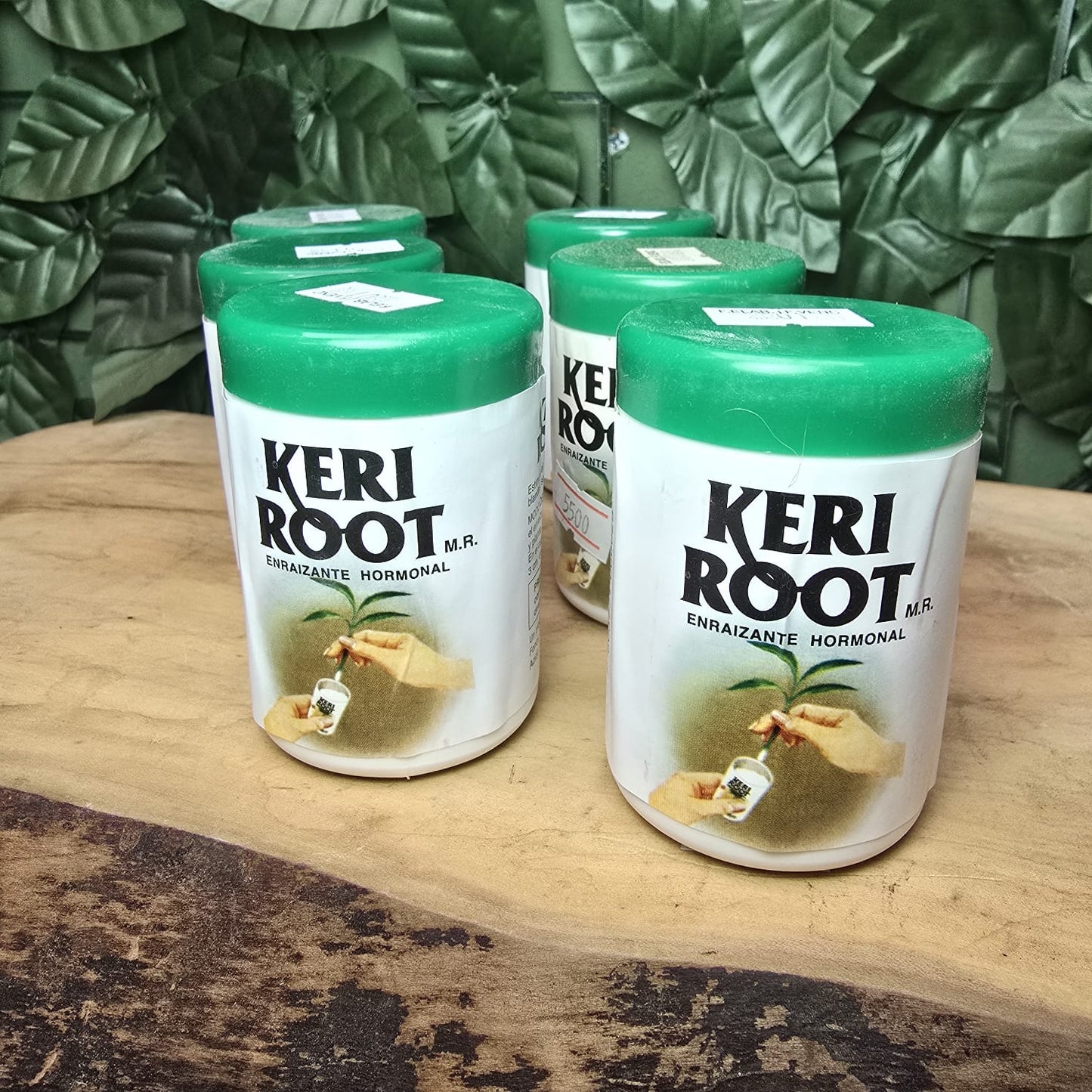 KERI ROOT - Enraizante Hormonal para Esquejes y Estacas