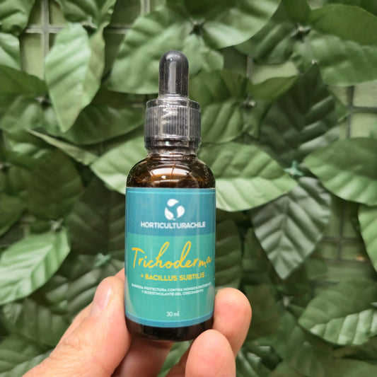 Trichoderma + Bacillus subtilis – Bioestimulante y protector natural de hongos