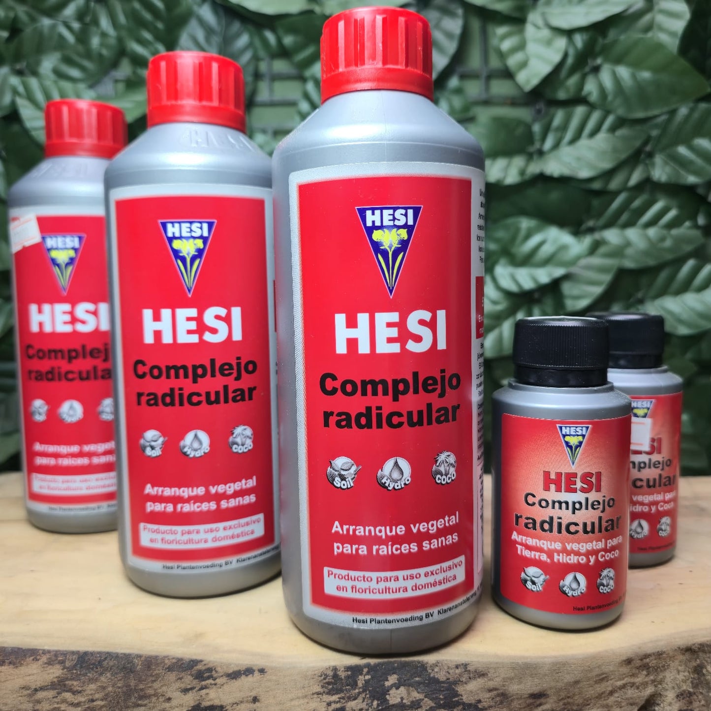 COMPLEJO RADICULAR- Impulso vital para raíces fuertes