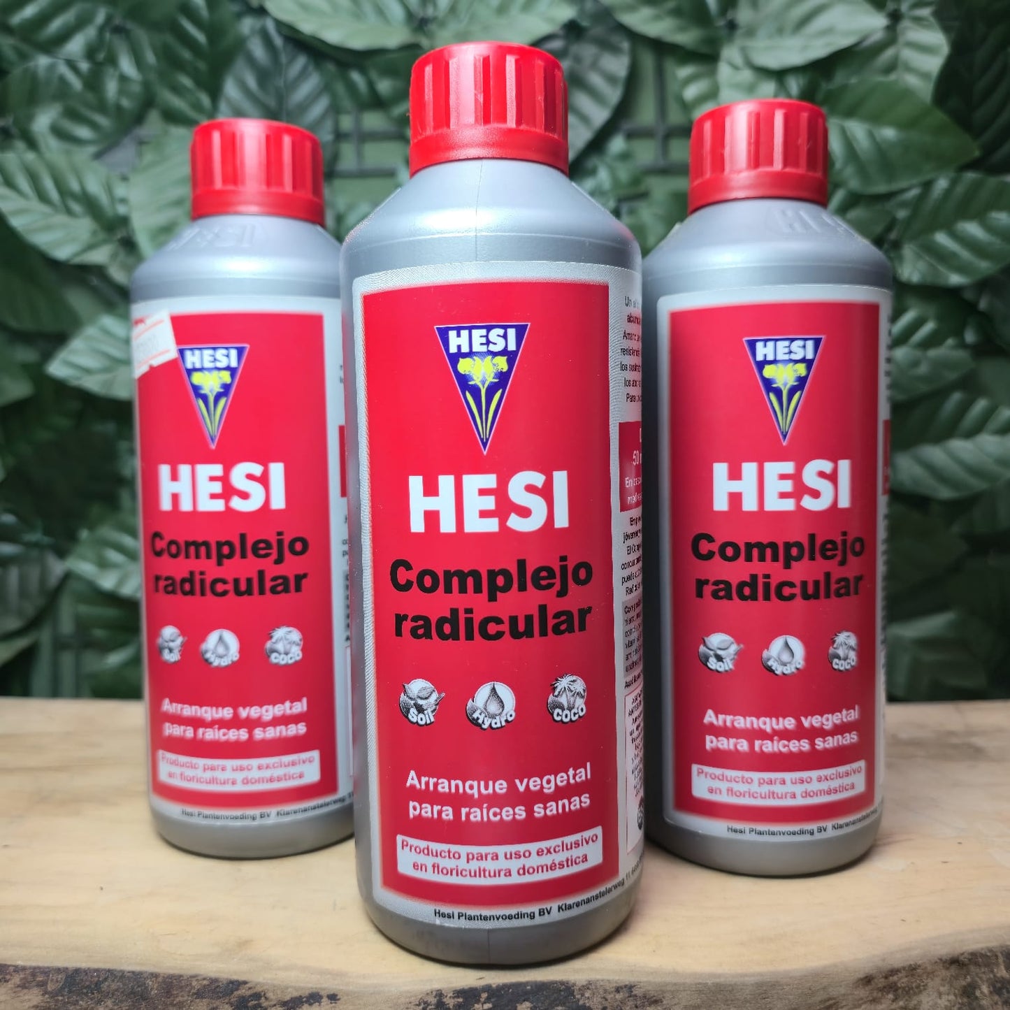 COMPLEJO RADICULAR- Impulso vital para raíces fuertes