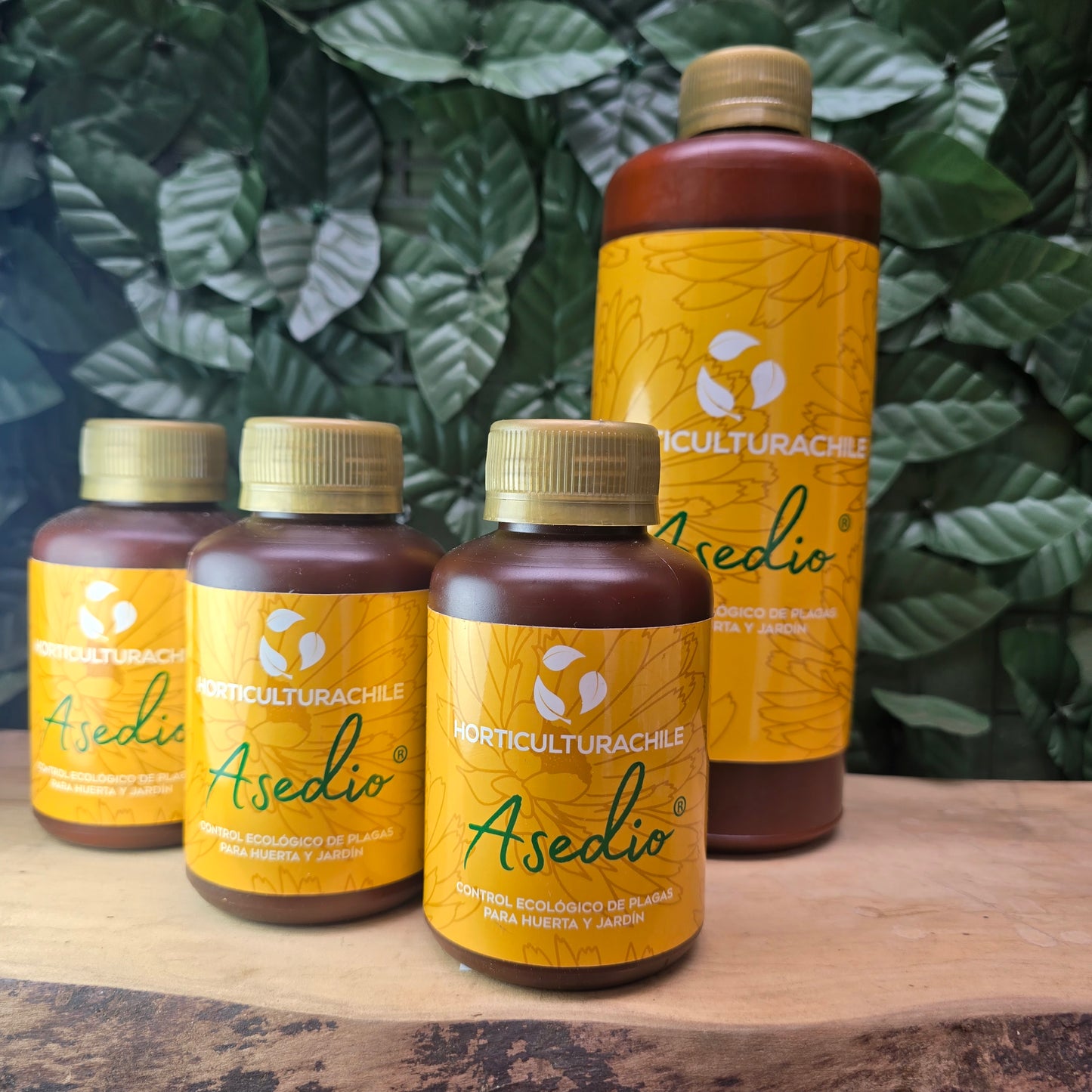 ASEDIO® – Control ecológico de plagas con Neem y Jabón Potásico