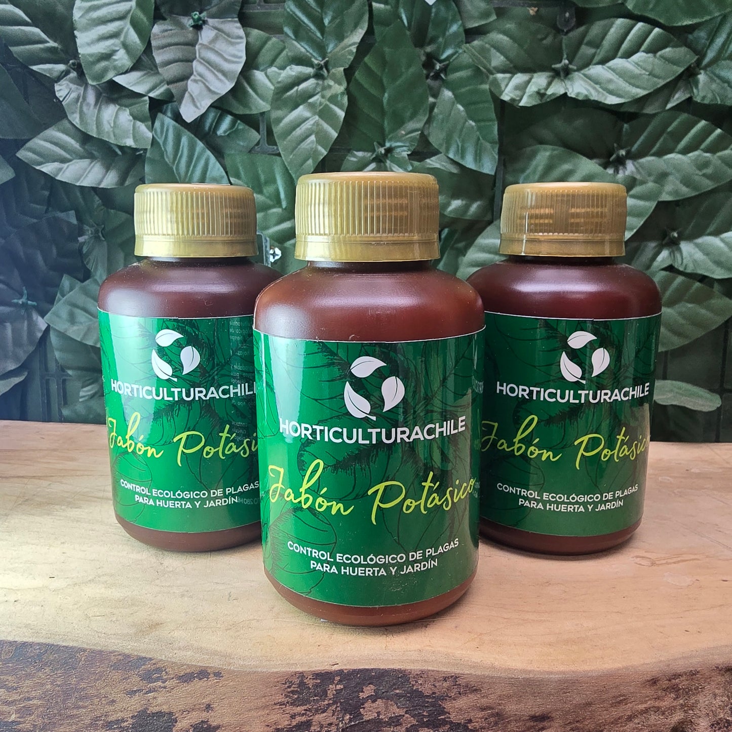 JABÓN POTÁSICO – Protector natural preventivo contra plagas