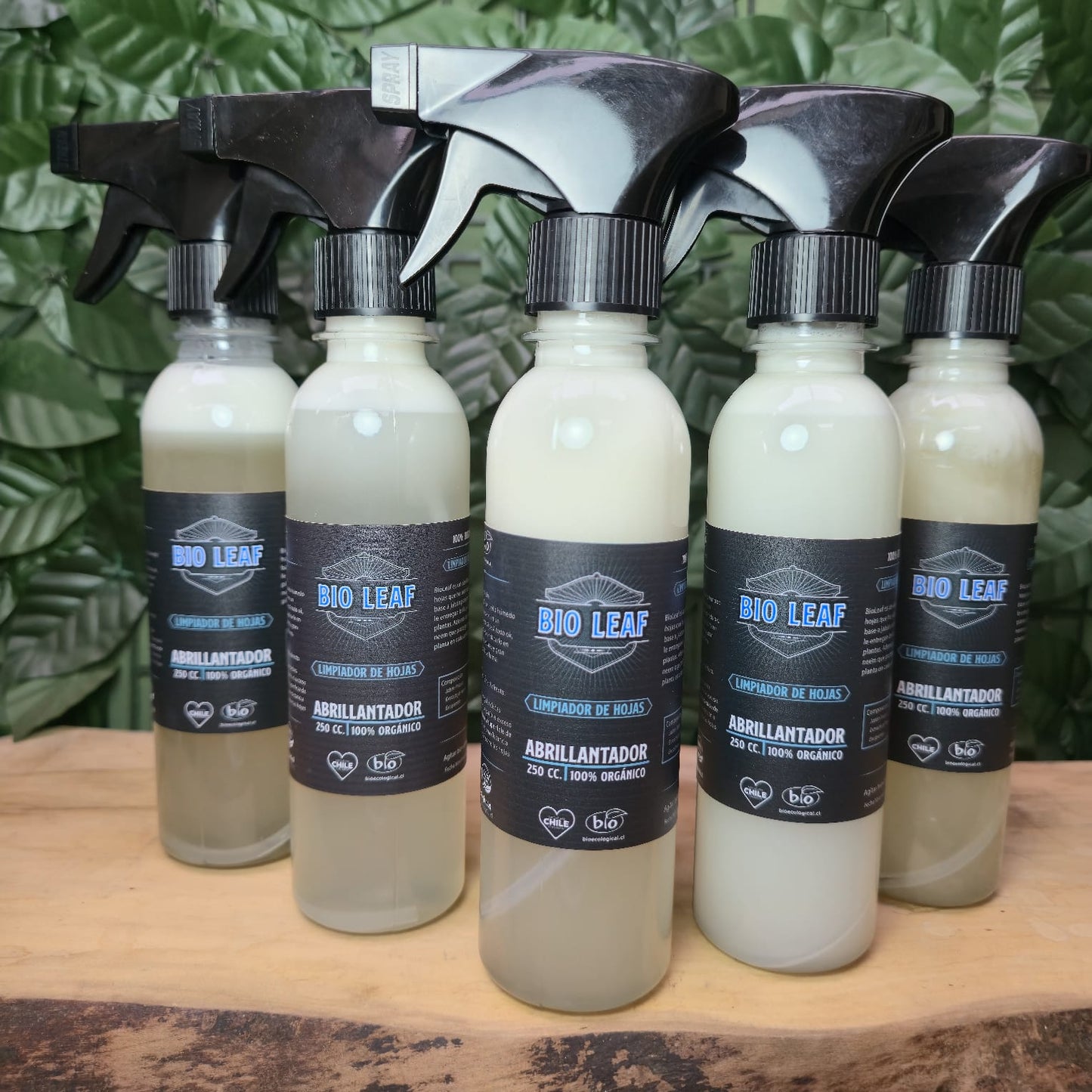 BIOLEAF - Limpiador de Hojas Natural
