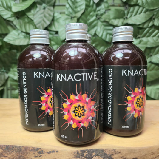 KNACTIVE – Potenciador Genético Natural para Plantas